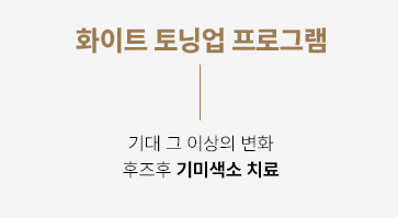 화이트 토닝 업 프로그램